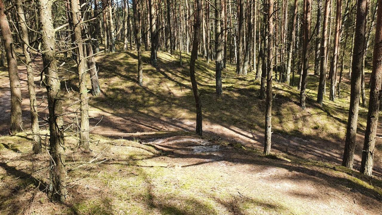 Apartament Marzanna W Willi Na Klifie Реваль Экстерьер фото